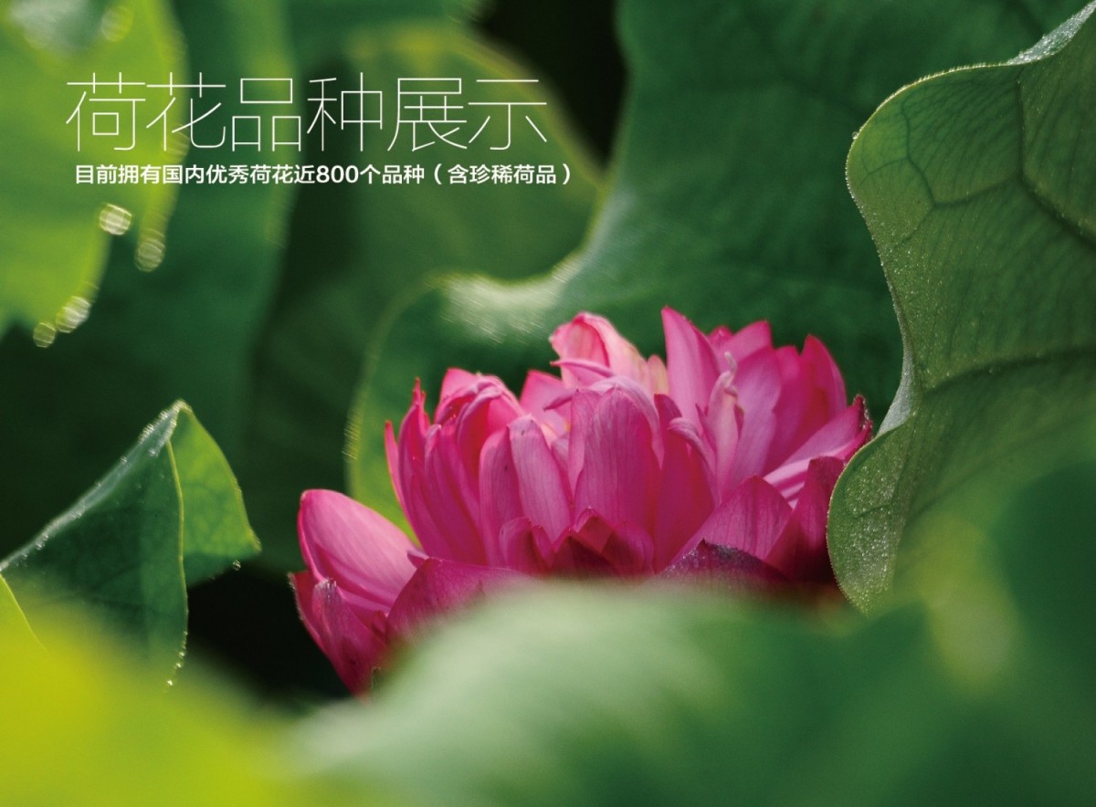 图片5.jpg